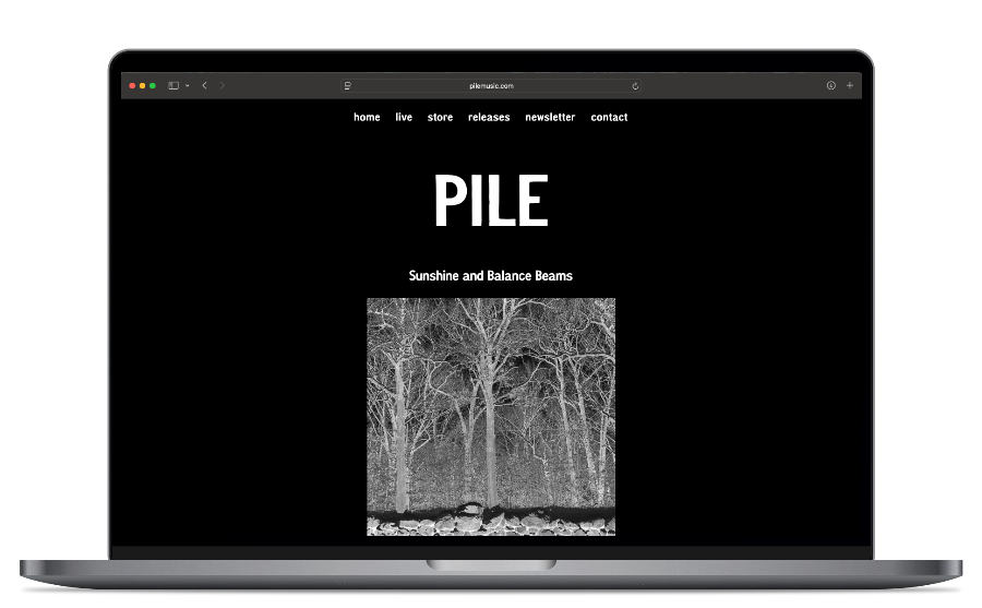 Project screenshot